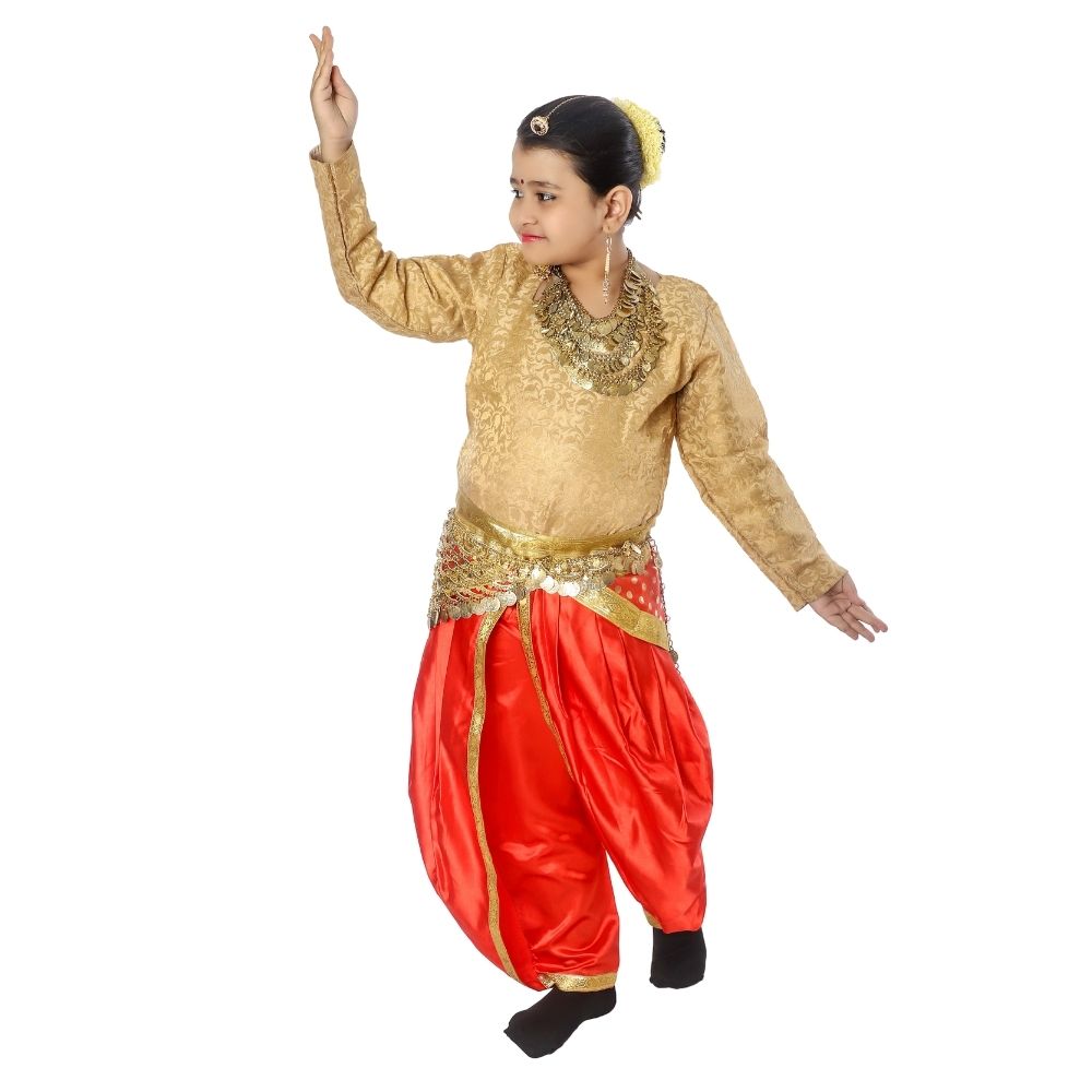 semi classical dance dress Bharatanatyam Dance Semi Classical Dance Costume Bharatanatyam Dress Kuchipudi Costume Stitching Brocade Pattern Buy Dance Dresses Online